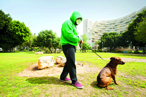 טיול עם הכלב בימי קורונה