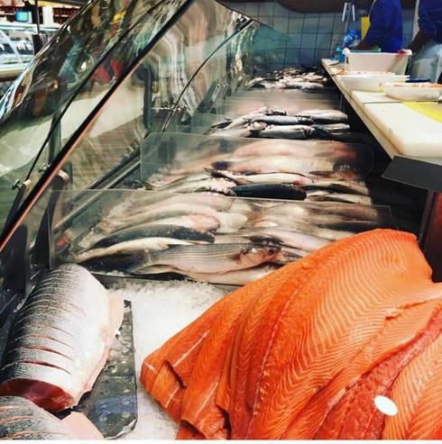 הדגיה של חצי חינם