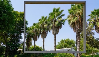 לאומנות יש ריח, אילנה אפרתי