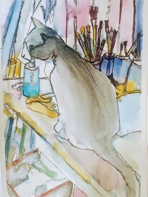 חתול, מתוך התערוכה