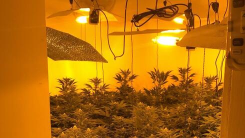 מעבדת הידרו סמים