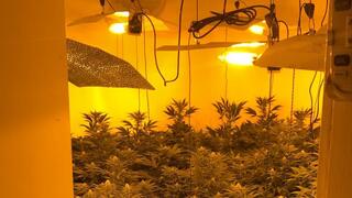 מעבדת הידרו סמים