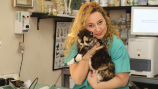 ד"ר טלי אלוני