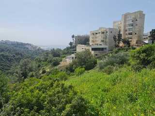 פרויקט הנדל"ן בחיפה, שכונת כרמליה