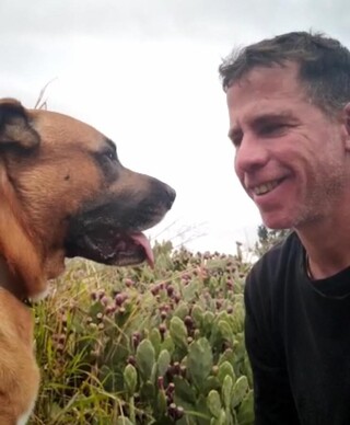 צור גרנות צור גרנות