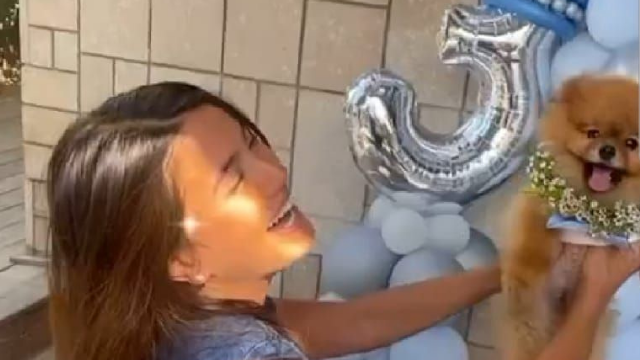 חגיגת יום ההולדת 