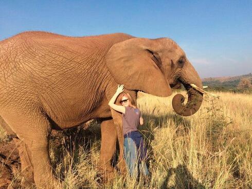 עם פיל בדרום אפריקה